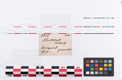 Etikett zu Schleifstein (NHMW-PRAE-003418)